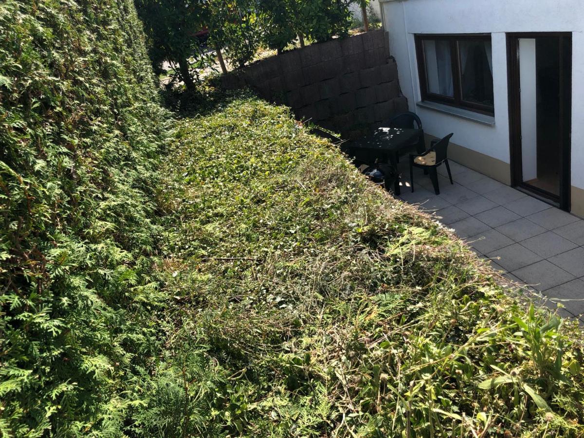Ferienwohnung Familie Hinrichs Dorn-Durkheim Exterior photo